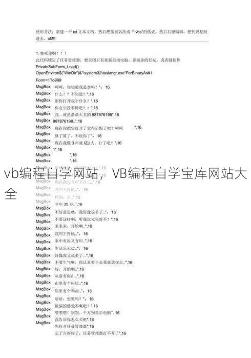 vb编程自学网站