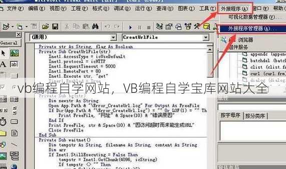 vb编程自学网站