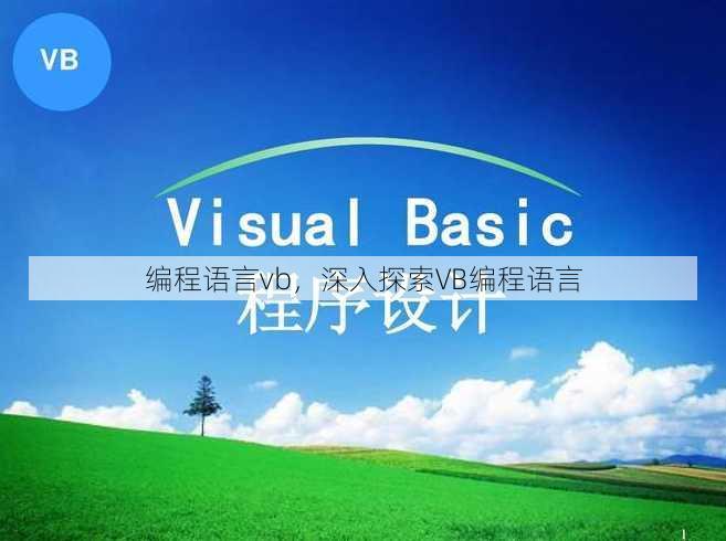 编程语言vb