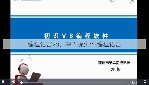 编程语言vb