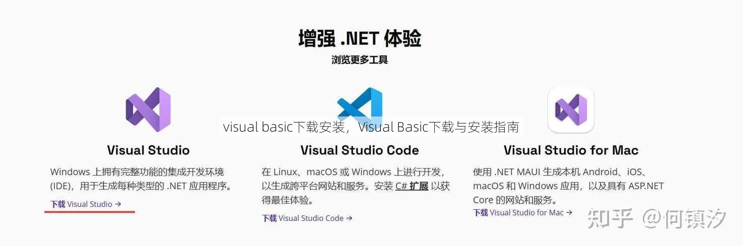 visual basic下载安装