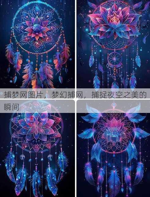 捕梦网图片