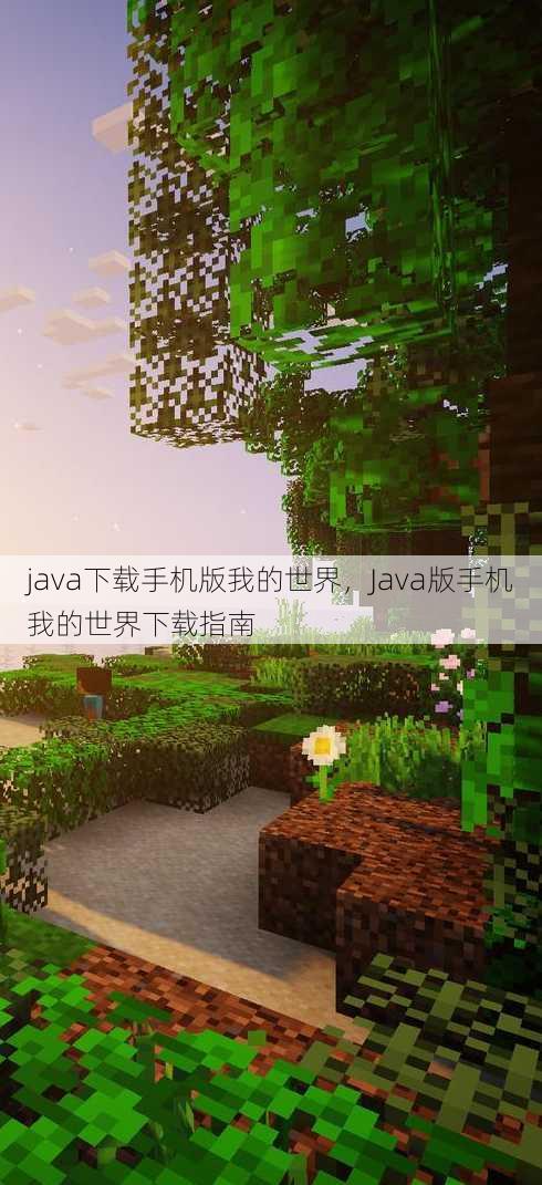 java下载手机版我的世界