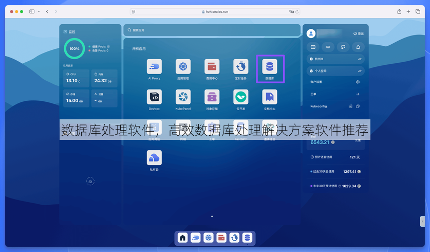 数据库处理软件