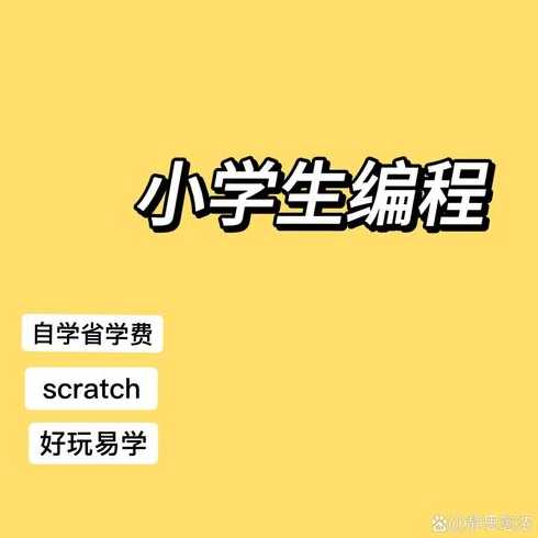 做软件用什么编程语言（做软件学什么编程语言）