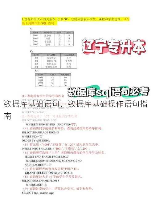 数据库基础语句