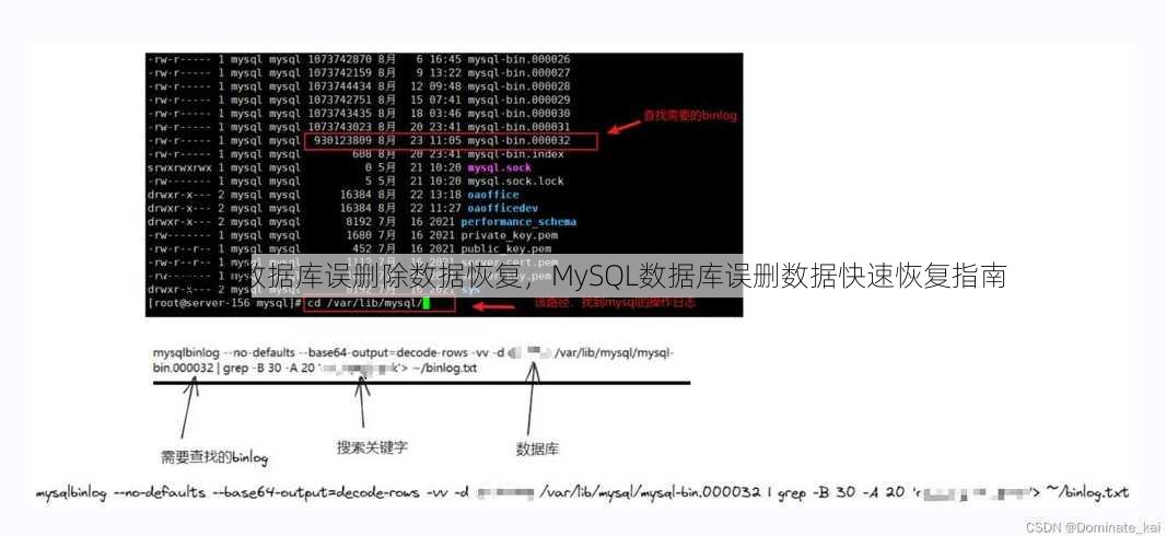mysql数据库误删除数据恢复