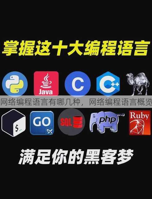 网络编程语言有哪几种
