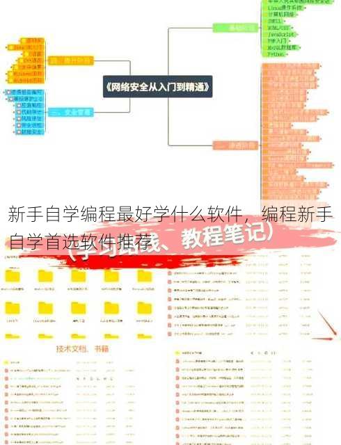 新手自学编程最好学什么软件