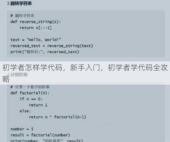 初学者怎样学代码