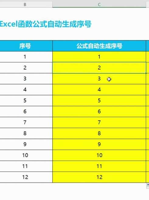 excel自动排序公式函数（excel自动排序公式函数怎么用）