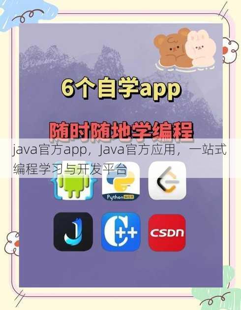 java官方app