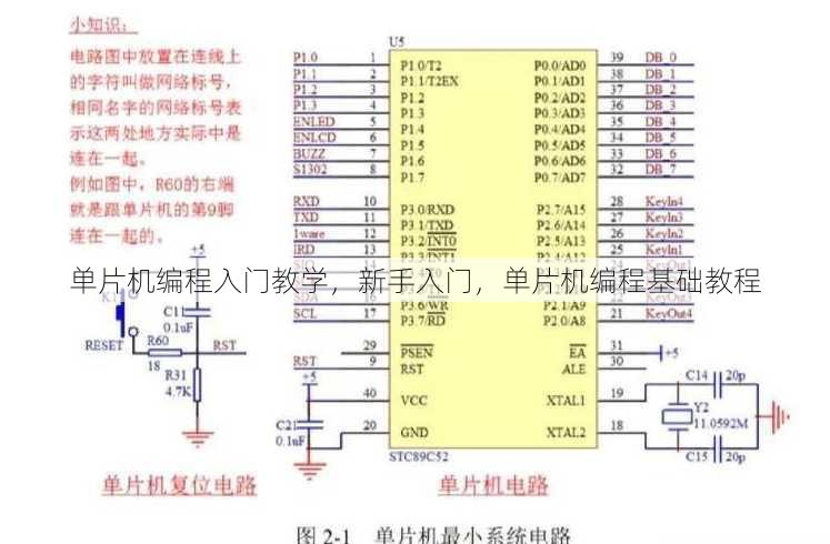 单片机编程入门教学