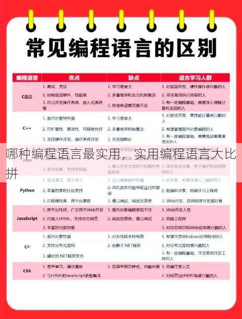 哪种编程语言最实用