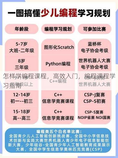 怎样学编程课程