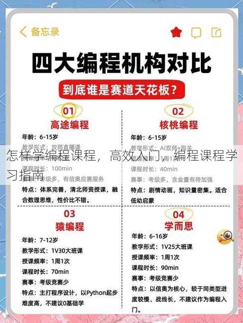 怎样学编程课程