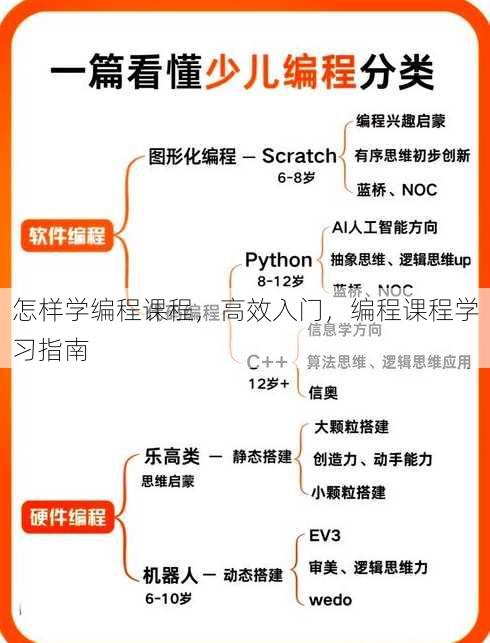 怎样学编程课程