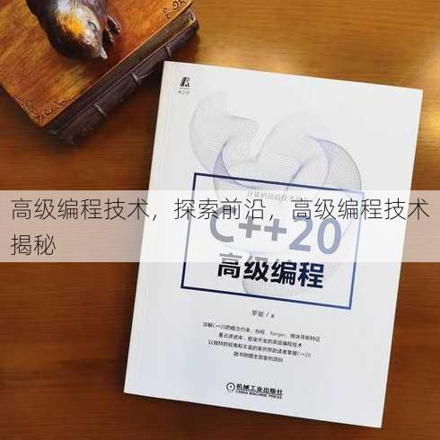 高级编程技术