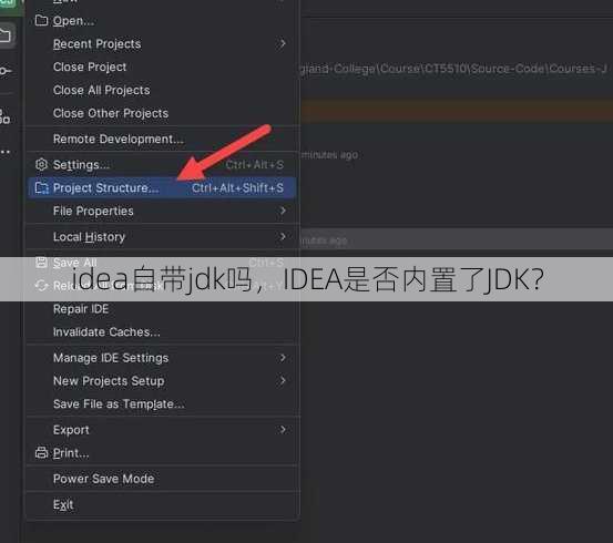 idea自带jdk吗