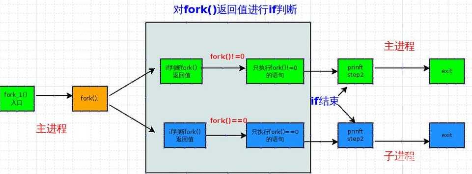fork函数执行过程（fork函数的作用）