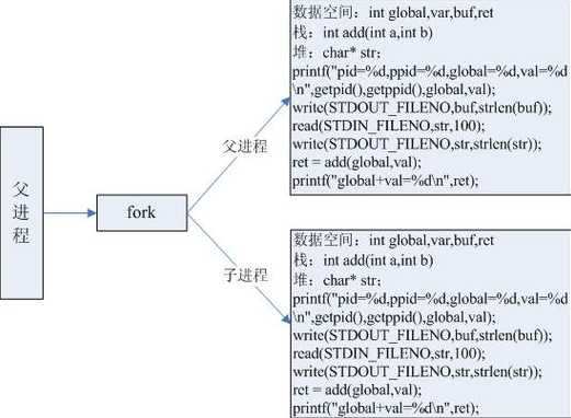 fork函数执行过程（fork函数的作用）