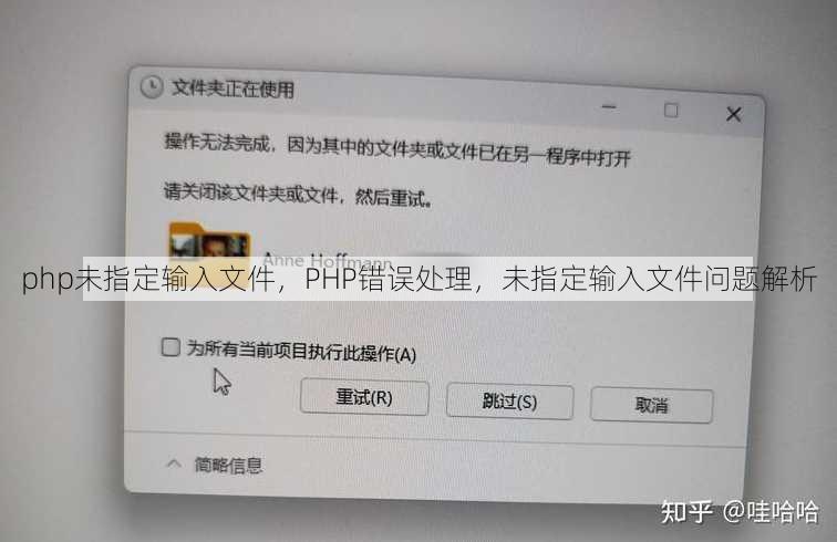 php未指定输入文件