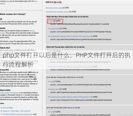 php文件打开以后是什么