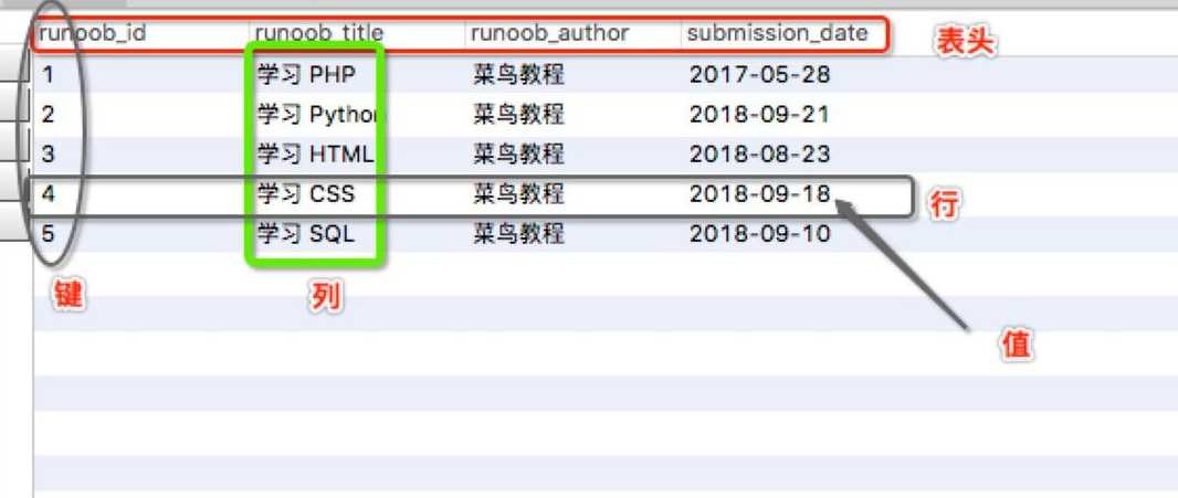 mysql菜鸟教程视频（mysql入门视频教程）