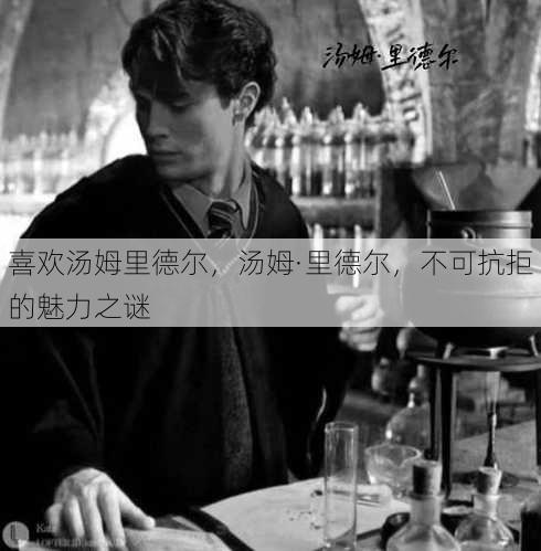 喜欢汤姆里德尔