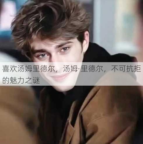 喜欢汤姆里德尔