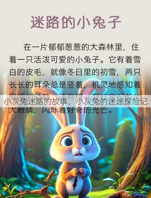 小灰兔迷路的故事
