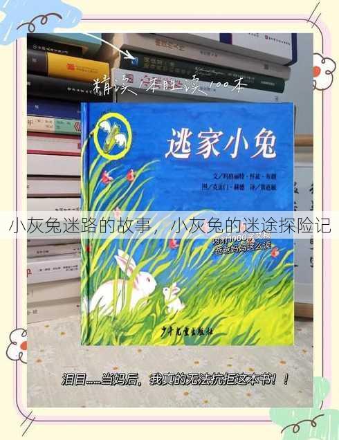 小灰兔迷路的故事