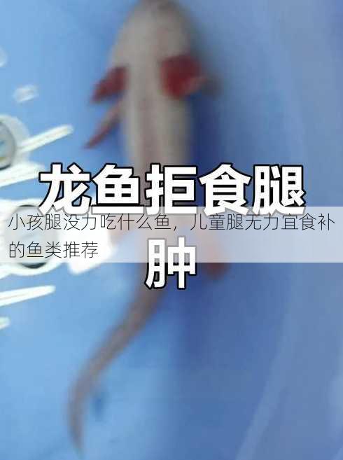 小孩腿没力吃什么鱼