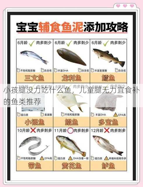 小孩腿没力吃什么鱼