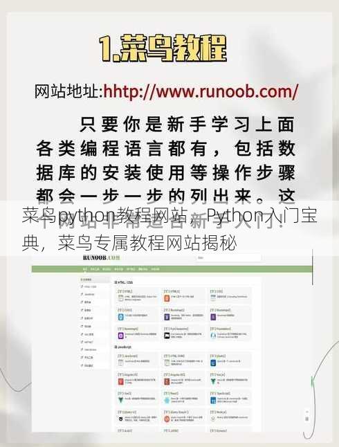菜鸟python教程网站