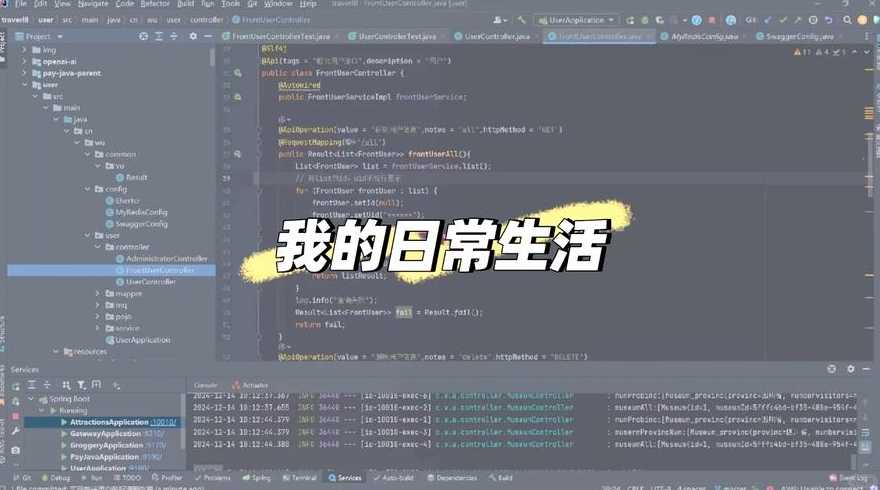 java是软件还是硬件（java是软件技术吗）