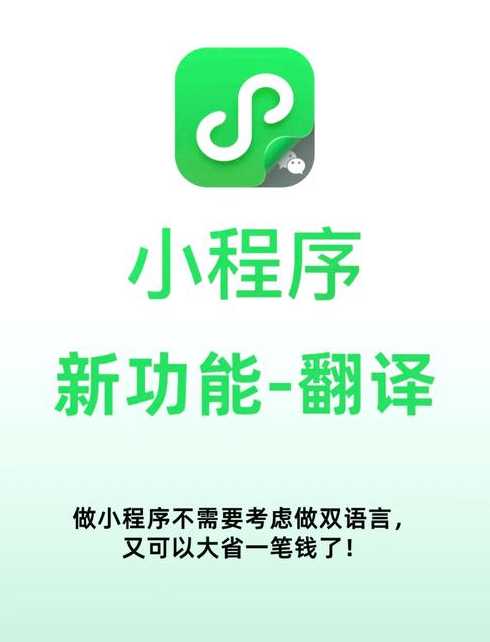 程序代码翻译器手机版（程序编码翻译）
