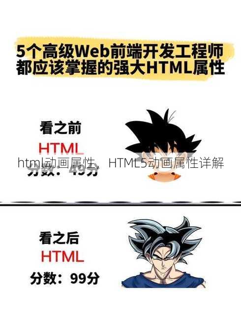 html动画属性