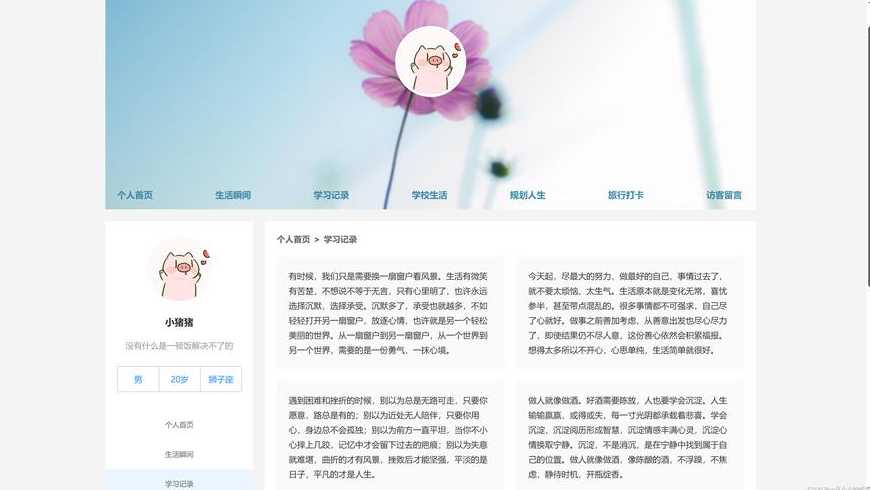 个人网站源代码（个人网页源代码）