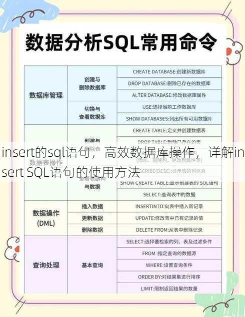 insert的sql语句