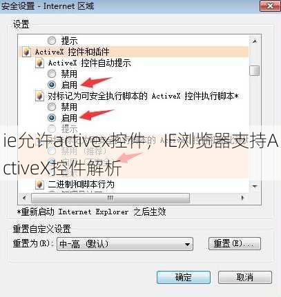 ie允许activex控件