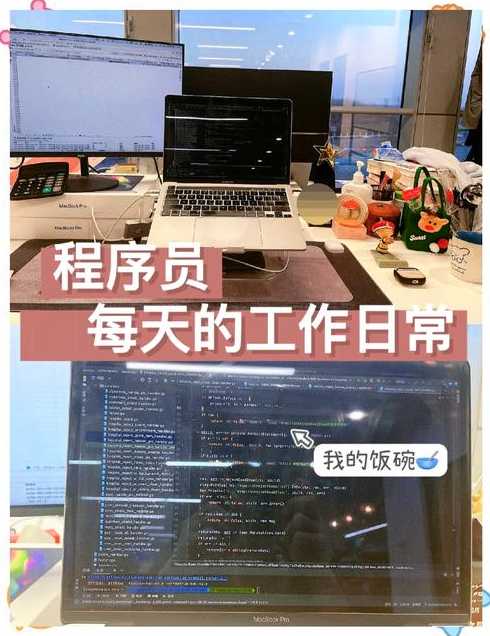 程序员是什么工作（程序员4050岁的出路）