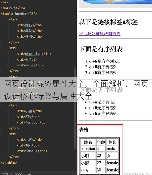 网页设计标签属性大全
