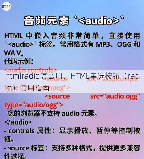 htmlradio怎么用