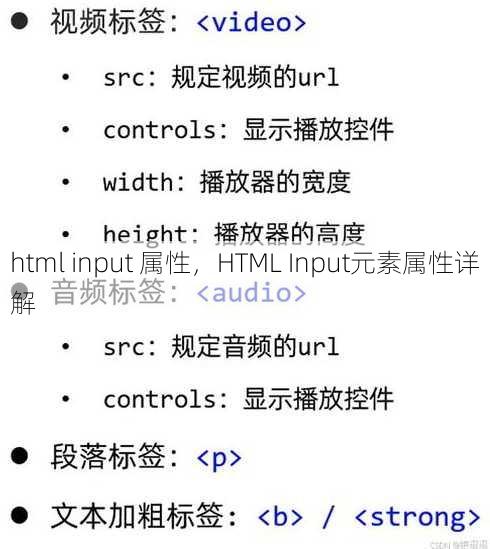 html input 属性