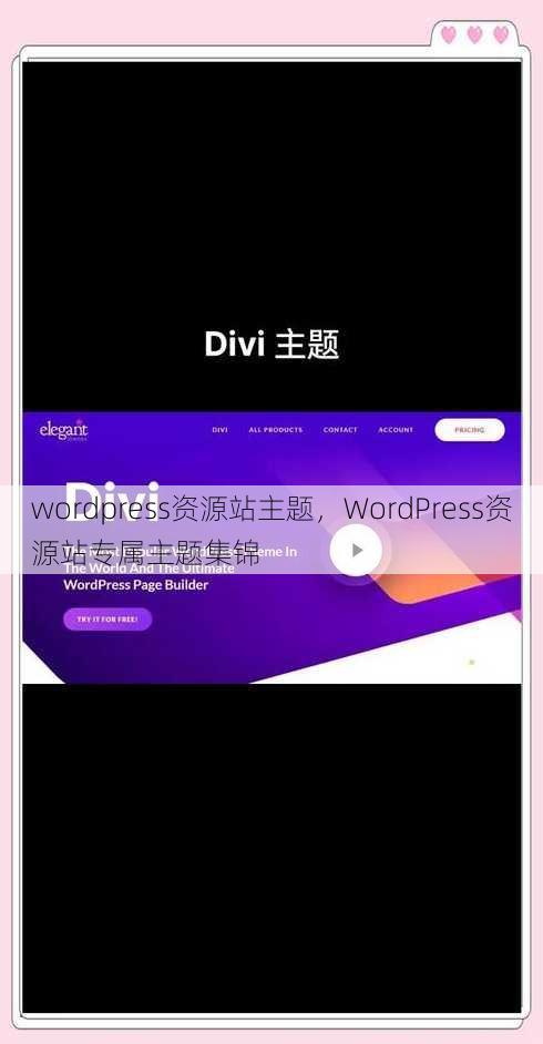 wordpress资源站主题
