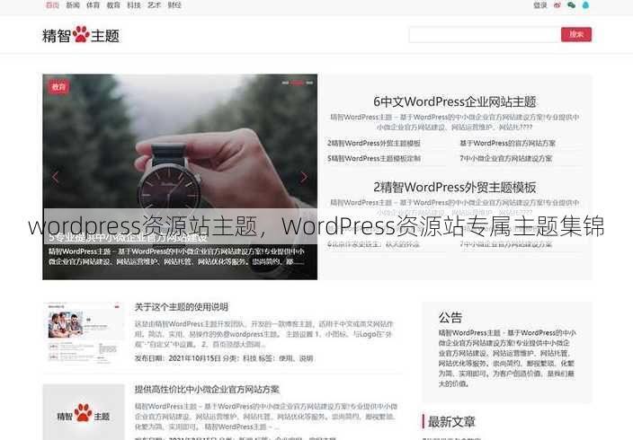 wordpress资源站主题