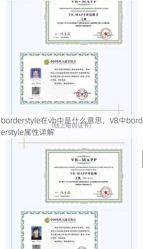 borderstyle在vb中是什么意思