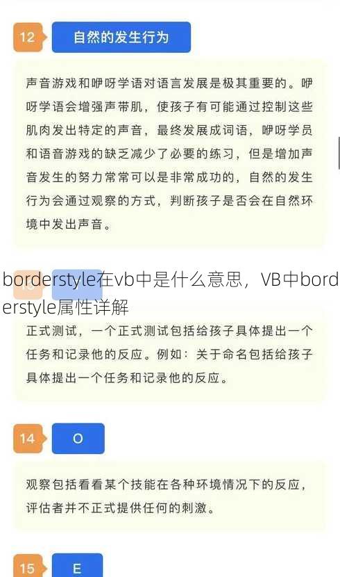 borderstyle在vb中是什么意思
